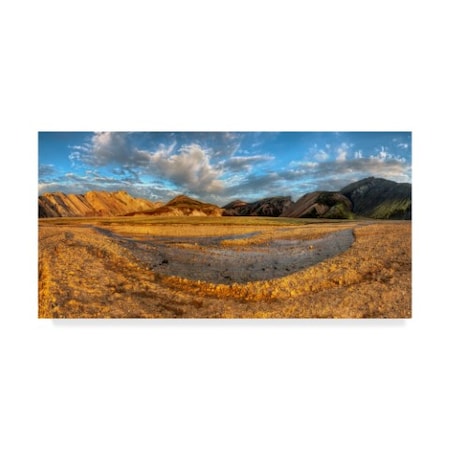 Maciej Duczynski 'Iceland Landscape 28' Canvas Art,24x47